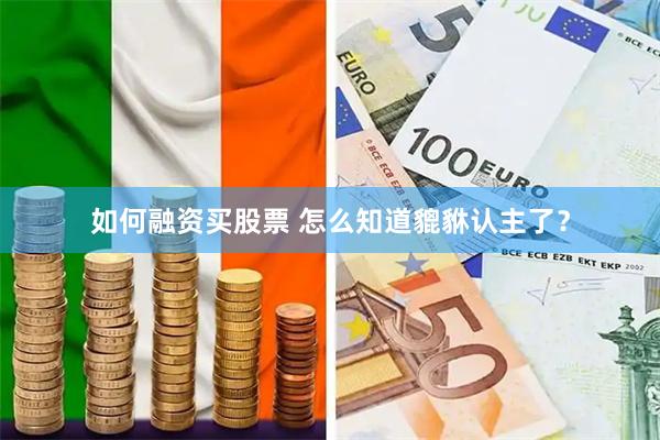如何融资买股票 怎么知道貔貅认主了？