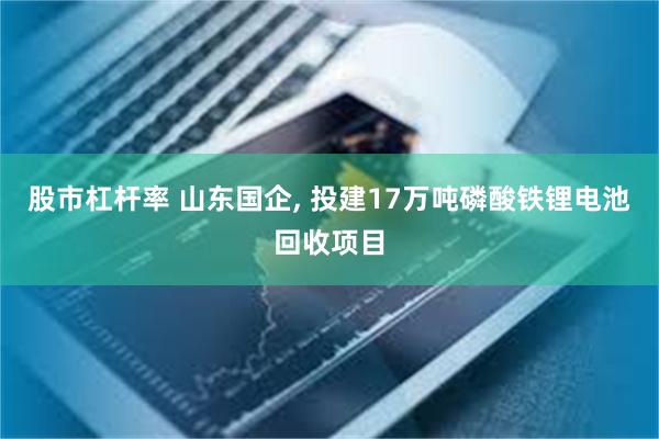股市杠杆率 山东国企, 投建17万吨磷酸铁锂电池回收项目