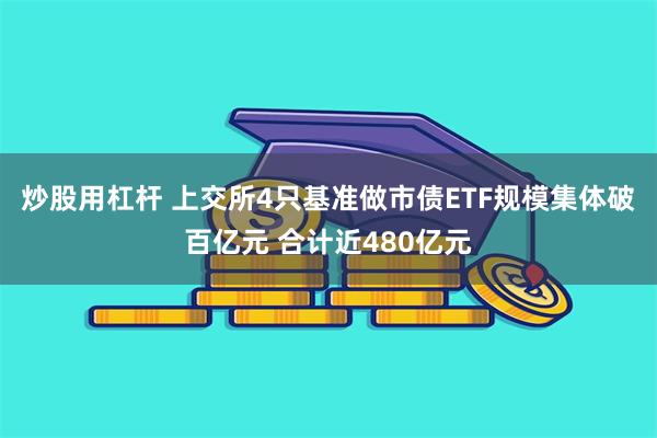 炒股用杠杆 上交所4只基准做市债ETF规模集体破百亿元 合计近480亿元