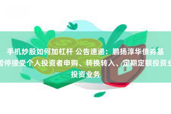 手机炒股如何加杠杆 公告速递：鹏扬淳华债券基金暂停接受个人投资者申购、转换转入、定期定额投资业务