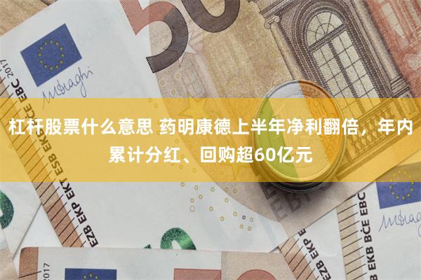 杠杆股票什么意思 药明康德上半年净利翻倍，年内累计分红、回购超60亿元