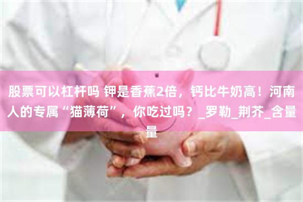 股票可以杠杆吗 钾是香蕉2倍，钙比牛奶高！河南人的专属“猫薄荷”，你吃过吗？_罗勒_荆芥_含量