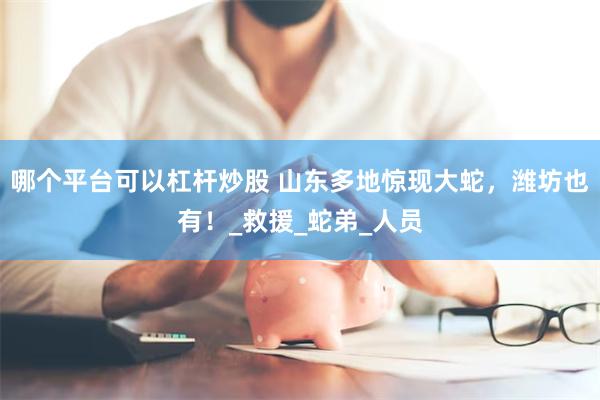 哪个平台可以杠杆炒股 山东多地惊现大蛇，潍坊也有！_救援_蛇弟_人员
