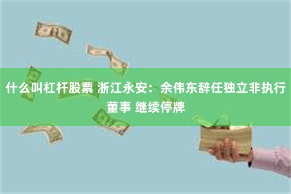 什么叫杠杆股票 浙江永安：余伟东辞任独立非执行董事 继续停牌