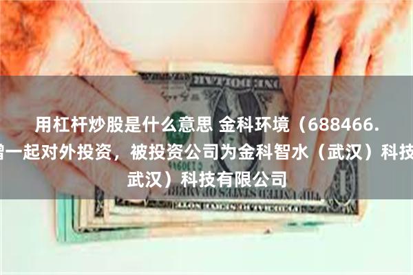 用杠杆炒股是什么意思 金科环境（688466.SH）新增一起对外投资，被投资公司为金科智水（武汉）科技有限公司