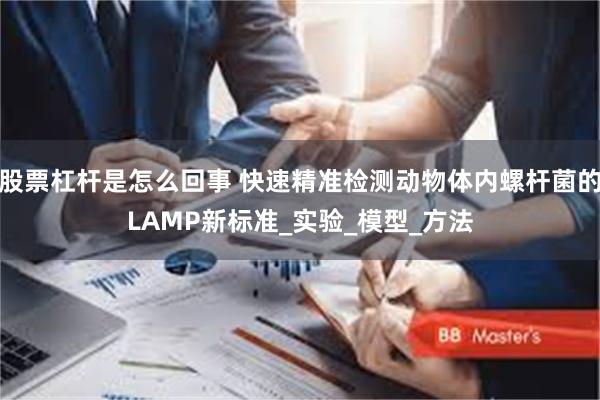 股票杠杆是怎么回事 快速精准检测动物体内螺杆菌的LAMP新标准_实验_模型_方法