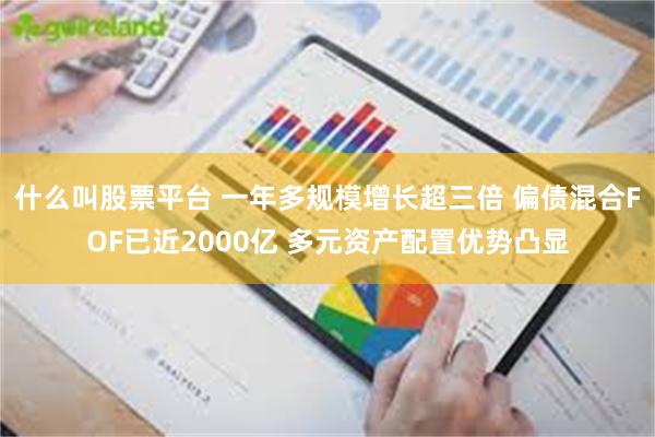 什么叫股票平台 一年多规模增长超三倍 偏债混合FOF已近2000亿 多元资产配置优势凸显